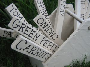 garden-markers
